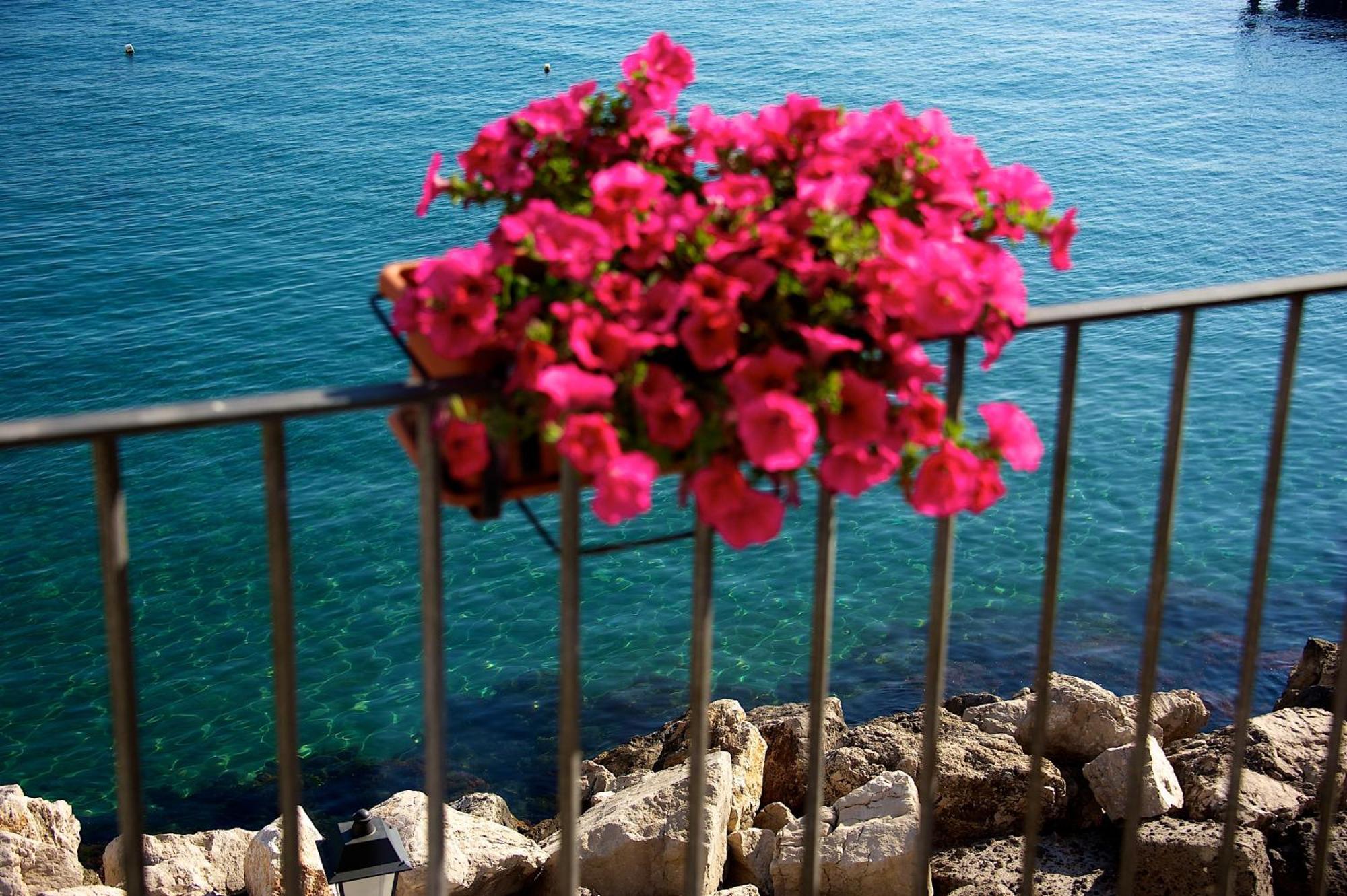 Villa Lieta Ίσκια Εξωτερικό φωτογραφία